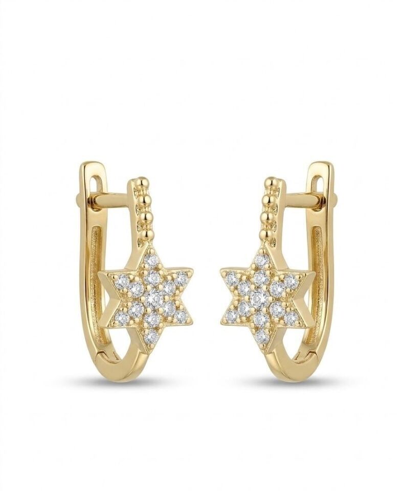 Yıldız 14 Ayar Altın Küpe